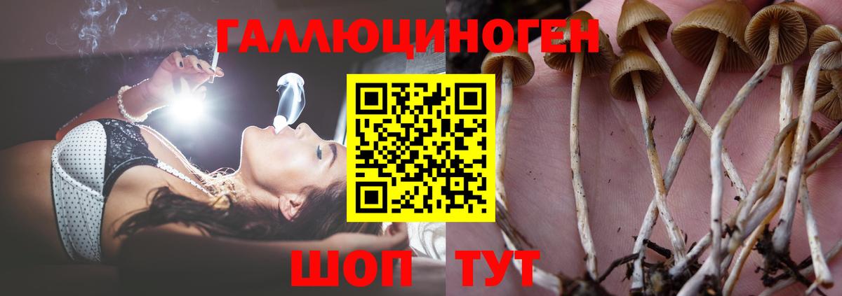 Псилоцибиновые грибы мухоморы Черняховск